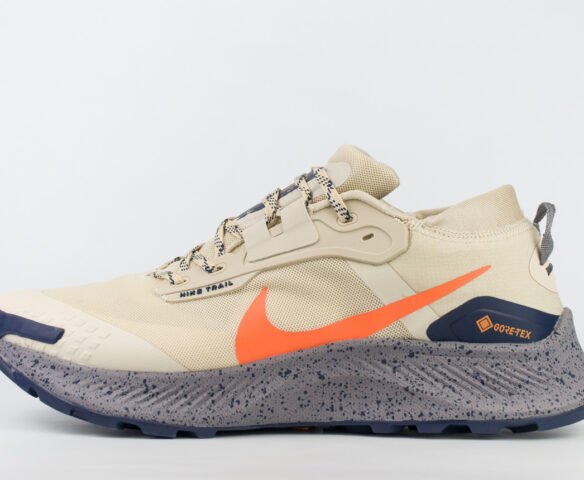 Nike Pegasus Trail 3 Gore-tex Beige / Grey
