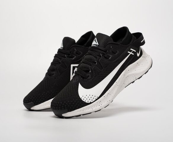 Nike Pegasus Trail 2 black