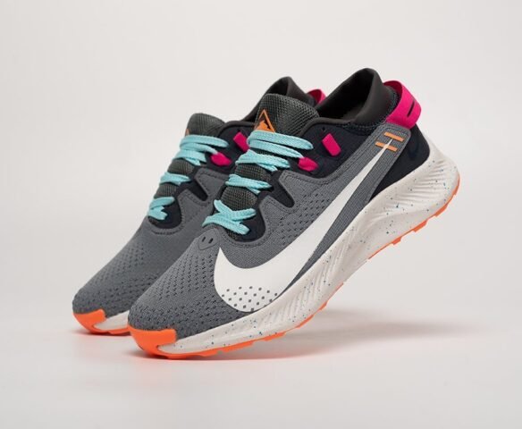 Nike Pegasus Trail 2 grey textile