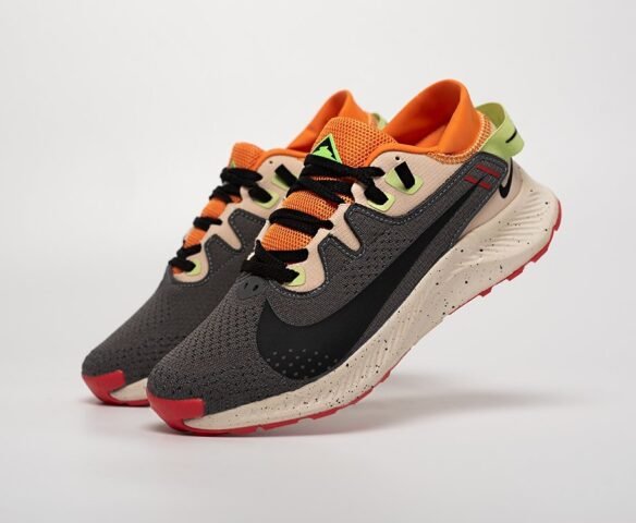 Nike Pegasus Trail 2 grey-orange