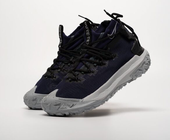 Nike ACG Mountain Fly 2 Mid GTX   QE6