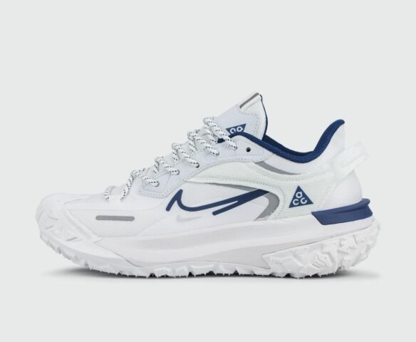 Nike ACG Mountain Fly 2 Low Gtx White Blue
