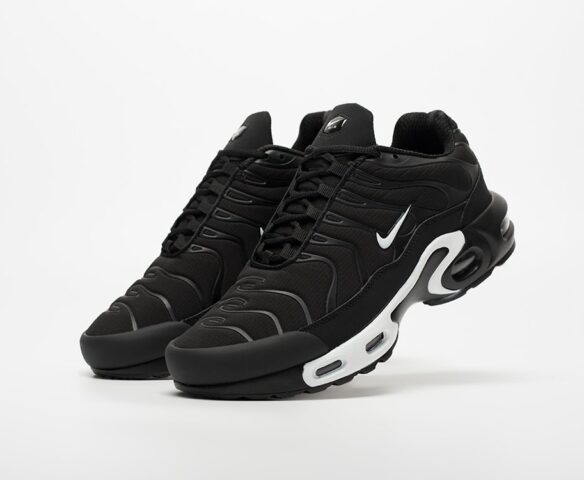 Nike Air Max Plus TN RY6