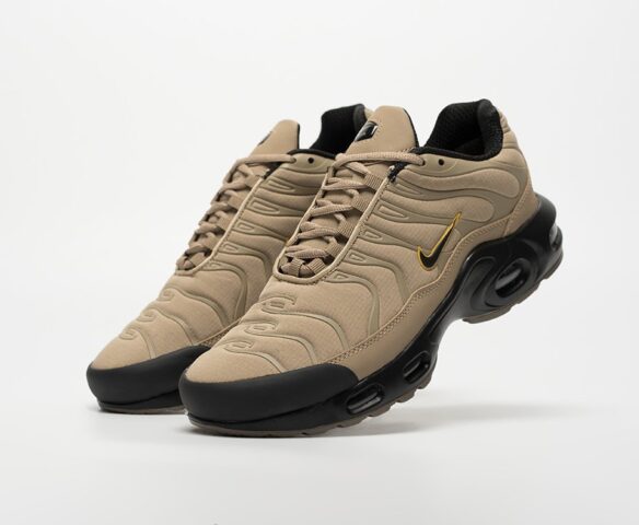 Nike Air Max Plus TN RY5
