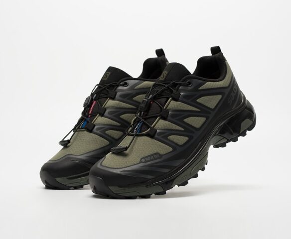 Salomon ADVANCED XT-6 ADV серые