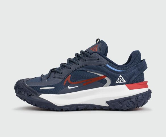 Nike ACG Mountain Fly 2 Low Gtx Blue White